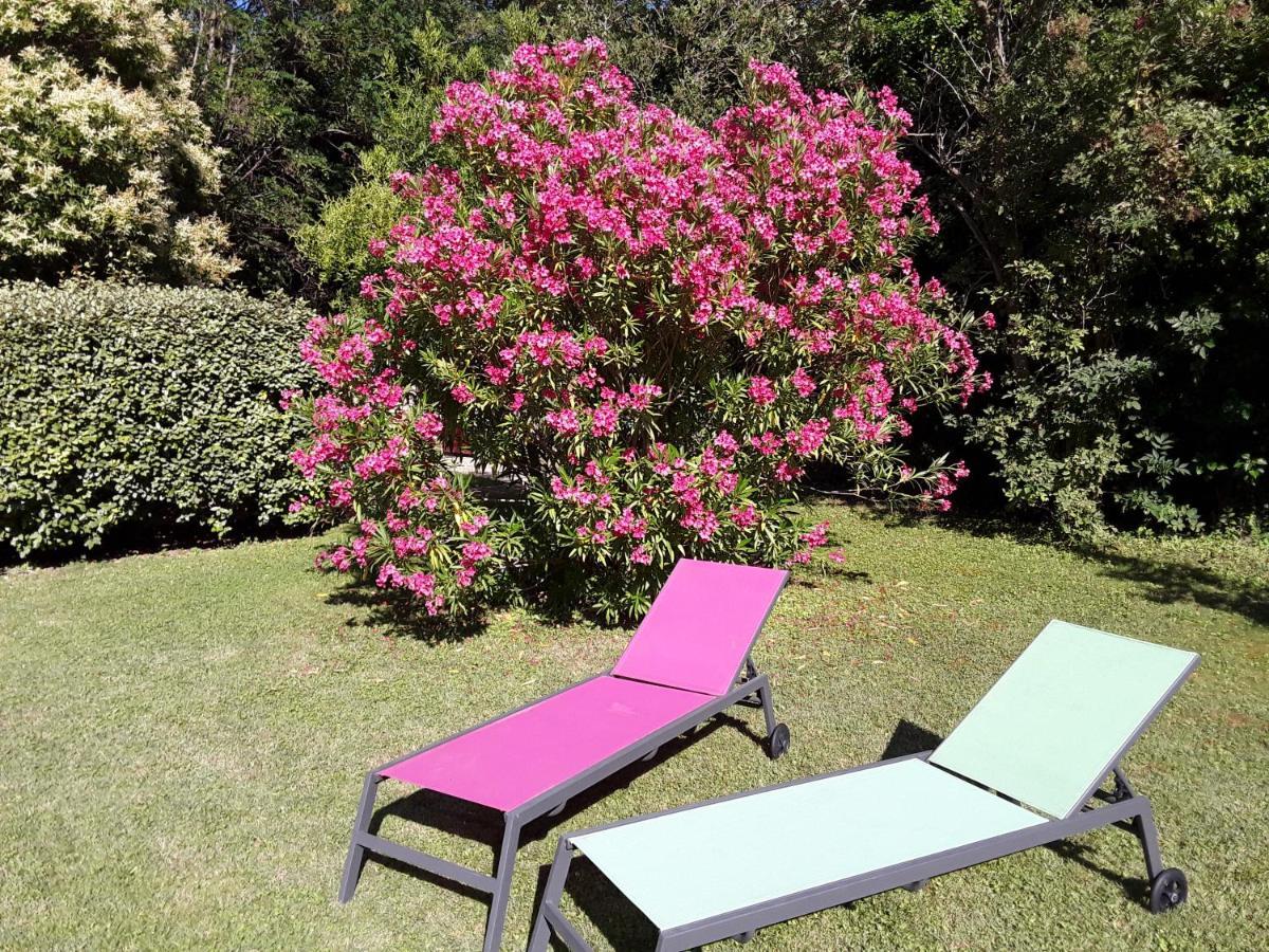 Le Mas Du Chat Bed and Breakfast Cavaillon Esterno foto