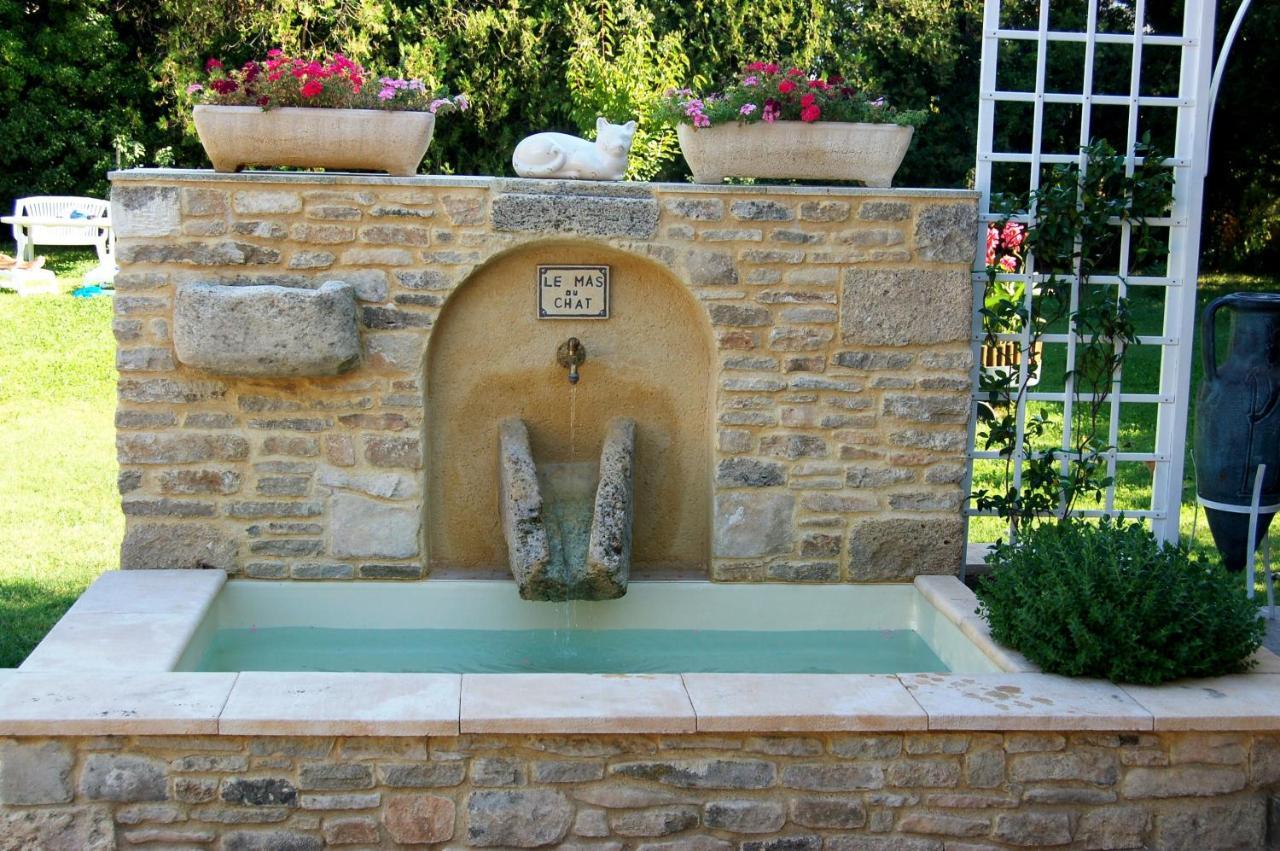 Le Mas Du Chat Bed and Breakfast Cavaillon Esterno foto